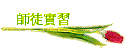 v{