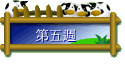 第五週